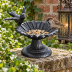 Illustrative garden scene of a sparrow beside birdseed in a cast iron flower feeder
